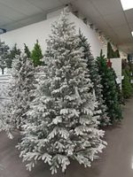 ели заснеженная "Александрийская" литая хвоя