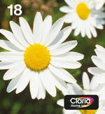 Картридж струйный Multi pack Epson C13T18064511