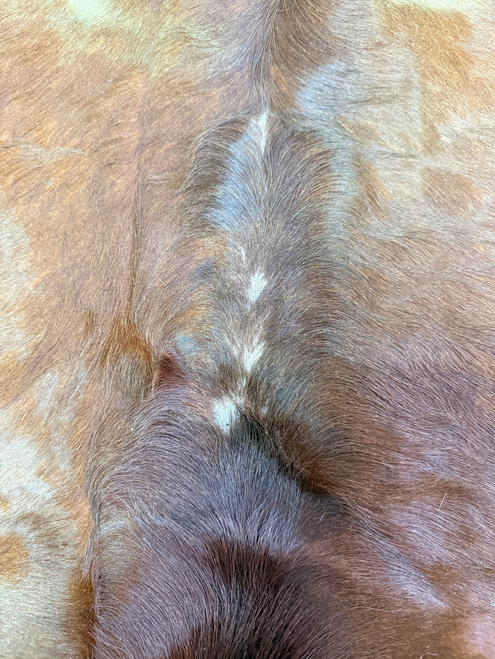 Коровья шкура на пол натуральная. 200 х 190 см