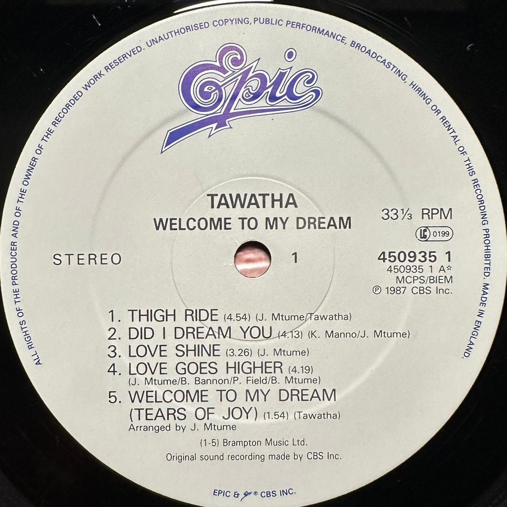 Tawatha - Welcome To My Dream (Англия 1987г.)