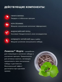 Ловелас Форте для мужчин 10 капсул E-0107