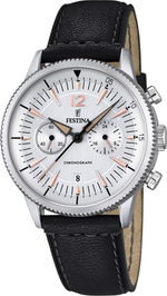 Мужские наручные часы Festina F16870/1
