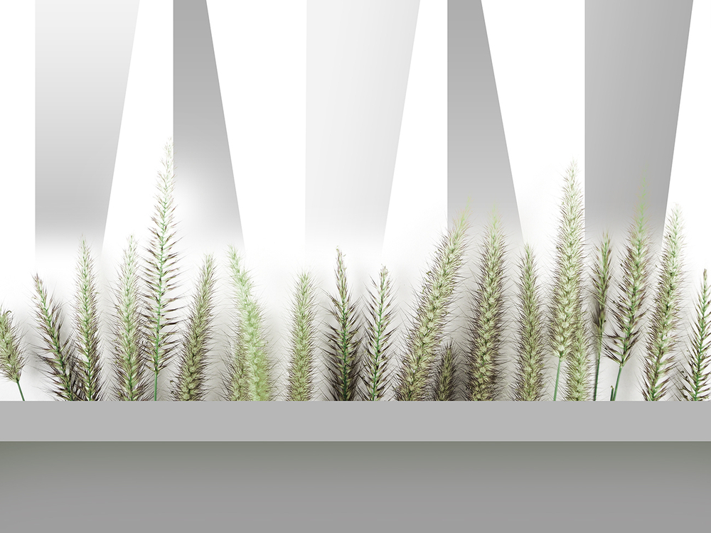 Коллекция GREENDAY