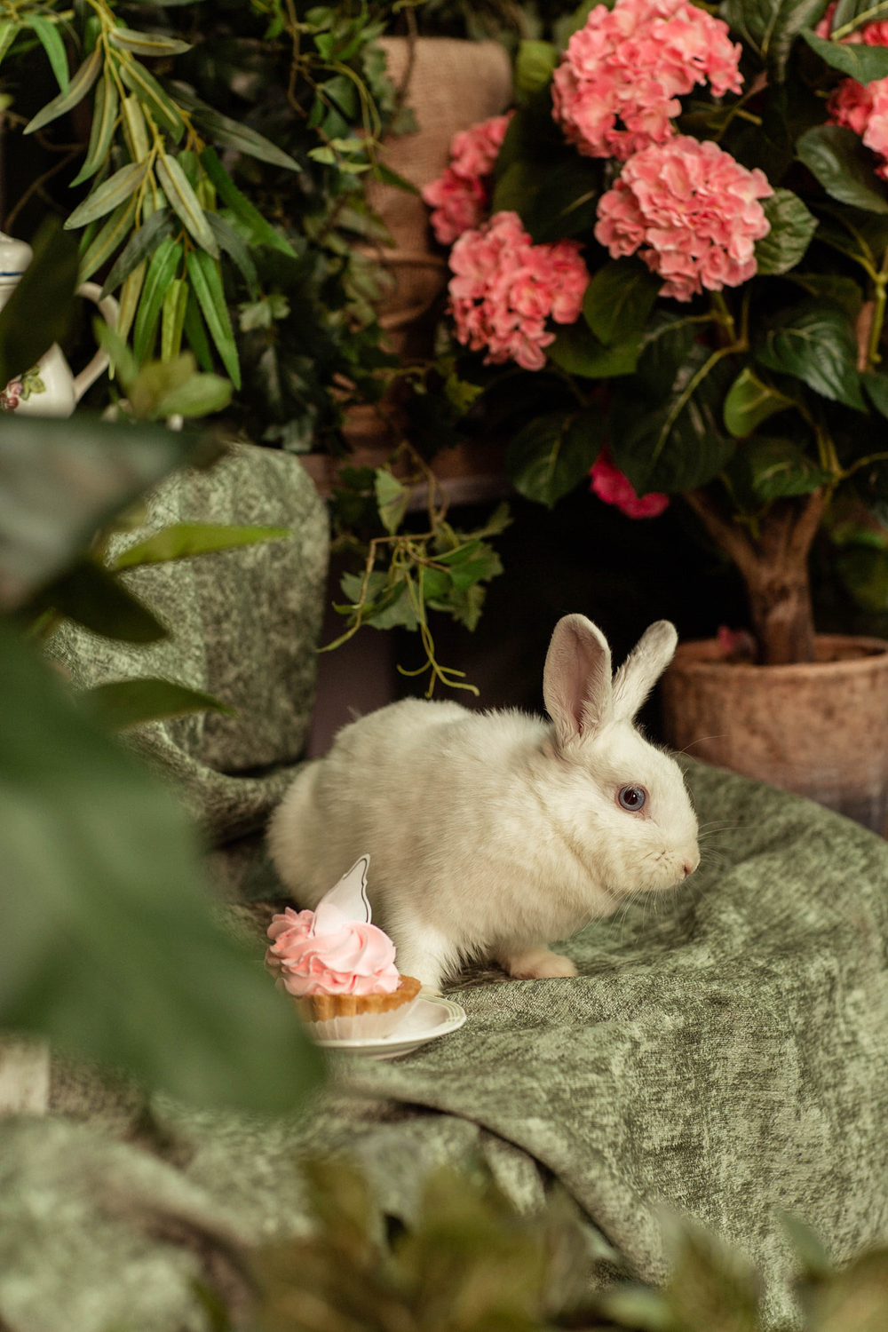 Шенилл Allure (Аллур) 05