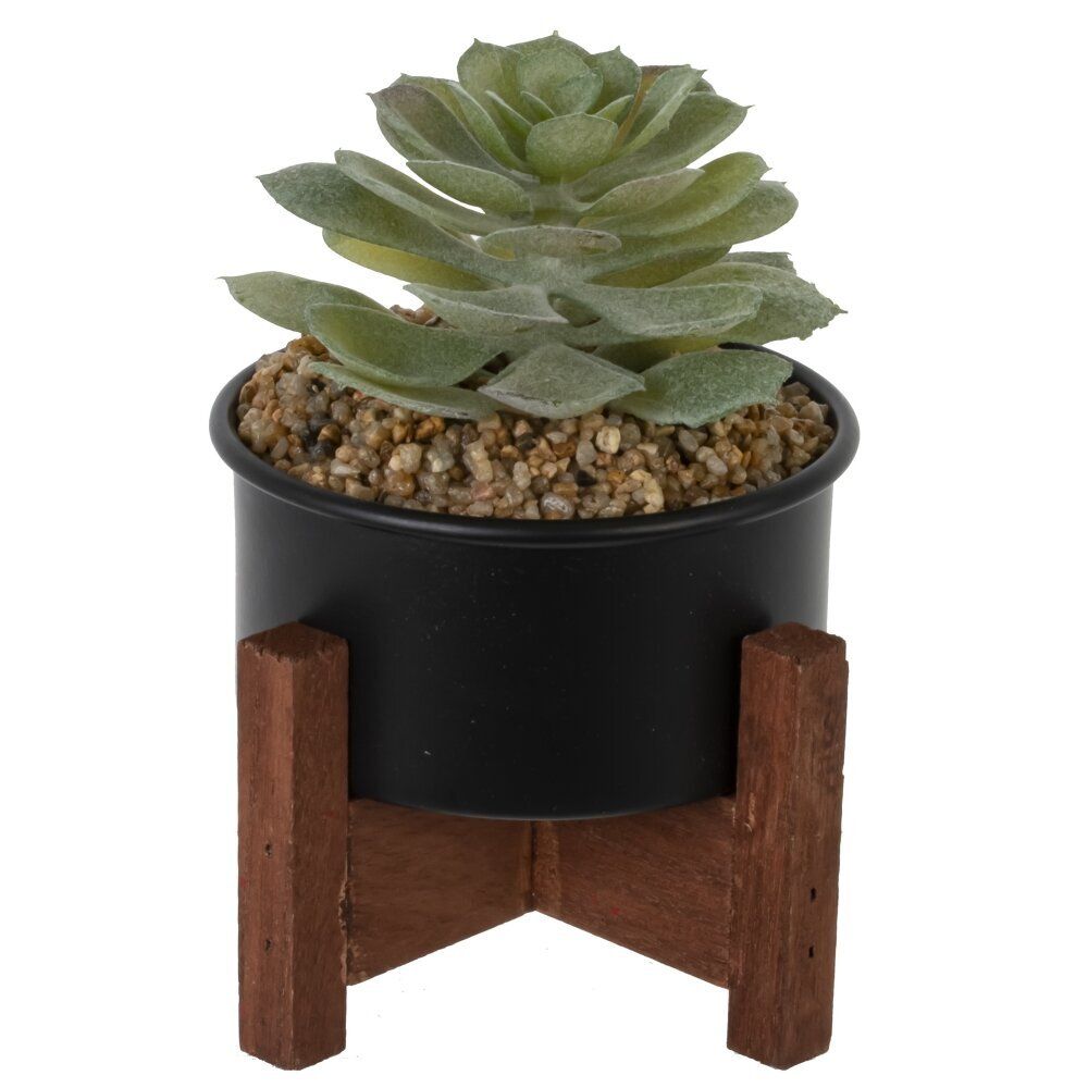 GAEM Цветочная композиция "Суккулент", L10 W10 H12 см