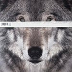 Thirty Seconds To Mars ‎– This Is War 2LP+CD (Европа 2025г.)