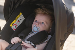 Коляска Carrello Vector 2025 CRL-6551 Nova DK791 Black Line 3 в 1 Shadow Black