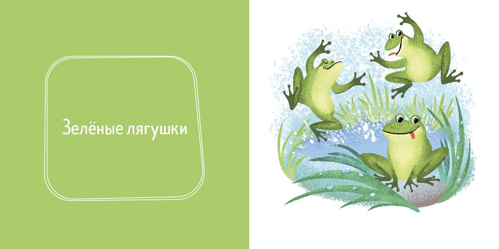 Познаем мир вместе. Цвета