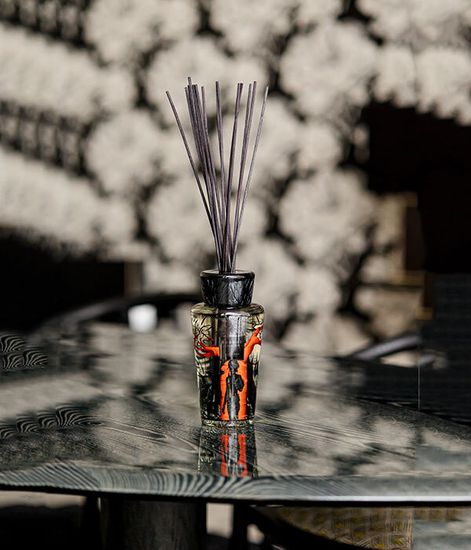 Maasai, аромадиффузор c палочками Feathers, Baobab Collection