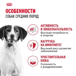 Royal canin medium adult сухой корм для взрослых собак средних пород от 12 месяцев до 7 лет, со свининой - 3 кг