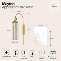 Бра Maytoni Antic MOD302WL-01CG