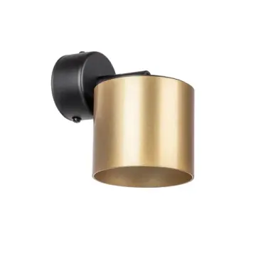 Спот 1*Gx53 RBX3497 черный/золото Rullo Lightstar