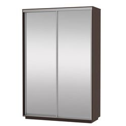 Шкаф-купе "Экспресс Экспенс Дуо" (венге) 2200х1600, МК Е1, г. Белореченск