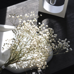 Комод две двери Эдгар из дуба