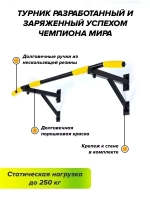 Турник Настенный AKTIV Черный