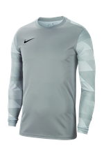 Вратарская кофта Nike Dry Park IV LS GK Детская
