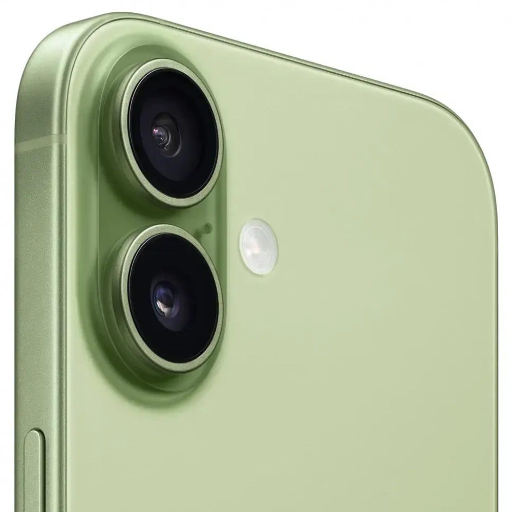 iPhone 17 256 ГБ, Dual: SIM + eSIM, Sage (зеленый)
