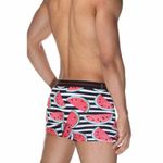 Трусы мужские боксеры черно-белые с принтом "Арбузы" DARKZONE DZN2061