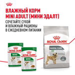 Royal Canin Mini Dental Care Корм сухой для собак мелких размеров 3 кг