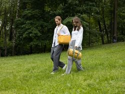 Термосумка для пикника Smart Picnic, L, горчичная