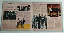 Винтажная виниловая пластинка LP Сборник The Mamas and The Papas, The Byrds The History Of Rock (UK 1983)
