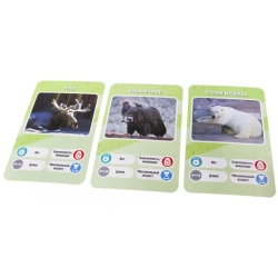 Настольная карточная игра Это факт! ЗООПАРК