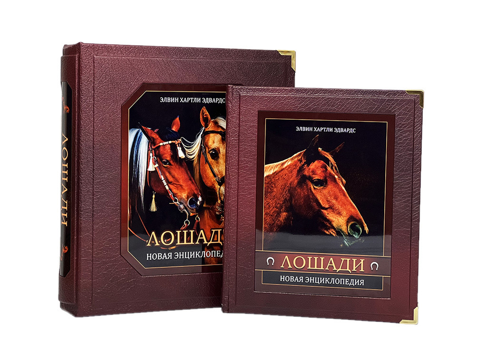 Лошади. Новая энциклопедия (в коробе)