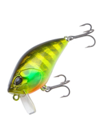 Воблер DUO Realis Crank 50SSR Kabuki, ADA3058 Prism Gill, 50 мм, 8,4г, плавающий, крэнк