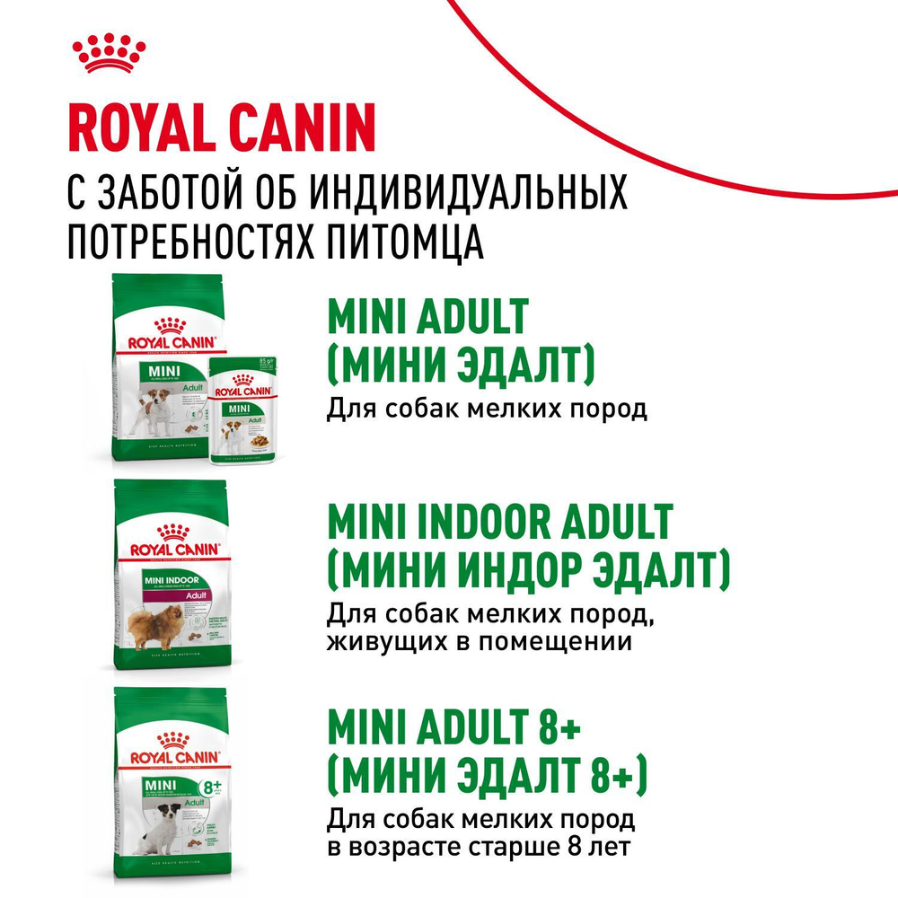 Royal Canin Mini Ageing 12+ Корм консервированный для стареющих собак мелких размеров 85г