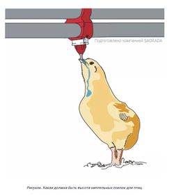 Поилка 6-ти ниппельная в сборе