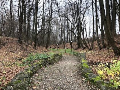 Фотографии «Нижнего Парка» после уборки