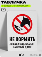 Табличка "Не кормить, лошади содержатся на особой диете" на дверь и забор, для конюшни, фермы, деревни, 40х30 см, Silver Plane x Айдентика Технолоджи