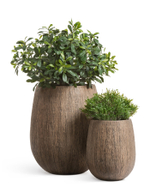 Кашпо TREEZ Effectory Wood Округлая чаша Светлый дуб в-60 см, д-46 см 41.3321-03-051-WB-60