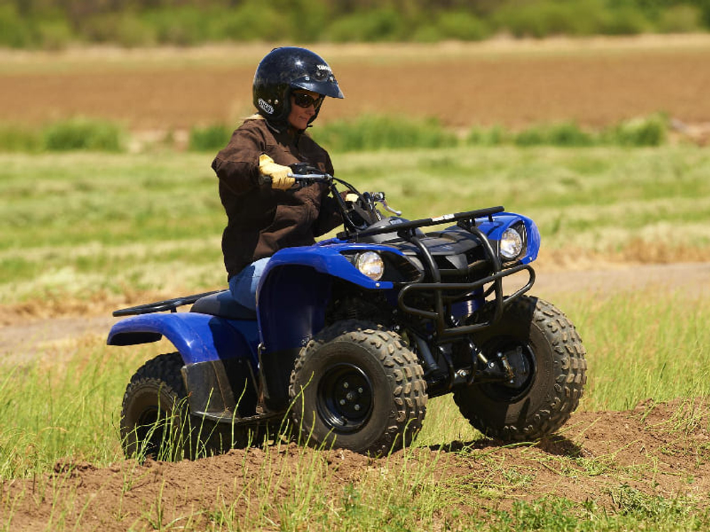 Квадроцикл GRIZZLY 125