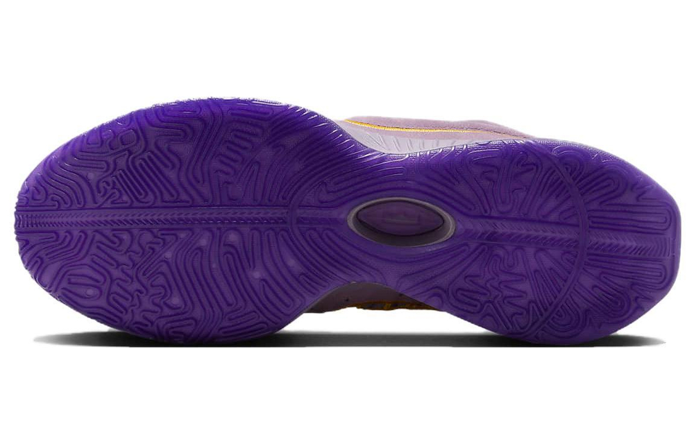 Кроссовки Nike Lebron 21 "Purple Rain" Ep