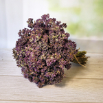 Букет сухоцветов  из Душицы натуральной, 22х20 см