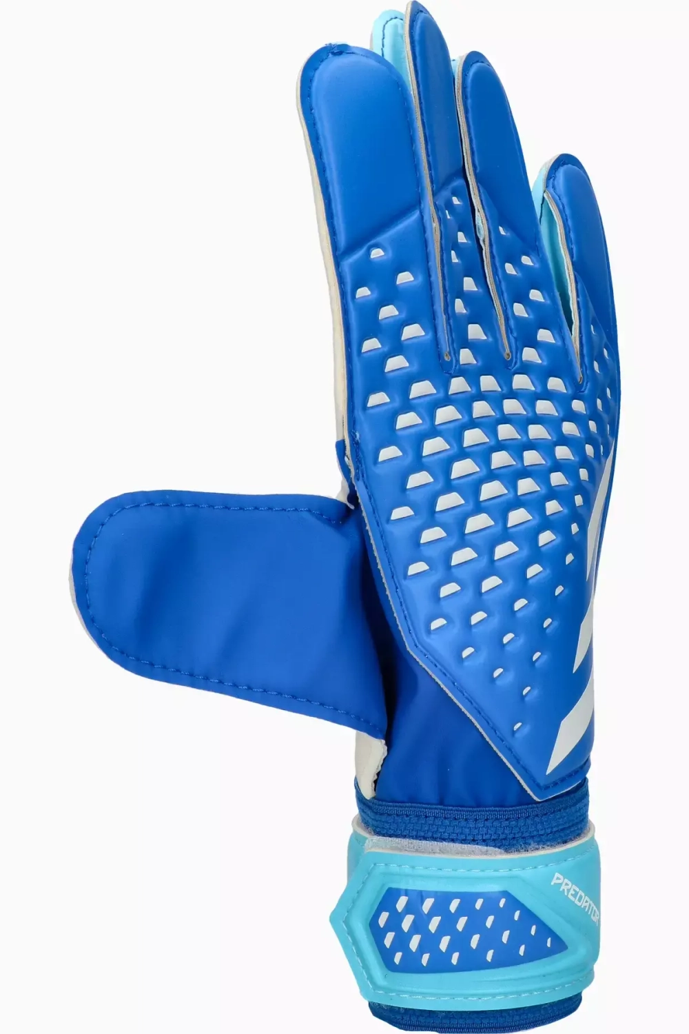 Вратарские перчатки adidas Predator Training