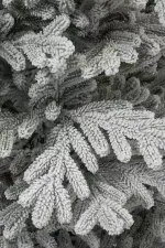 Заснеженная елка «Александрийская» (Литая хвоя) 240 см / 2,4 м