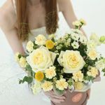 Летние грёзы