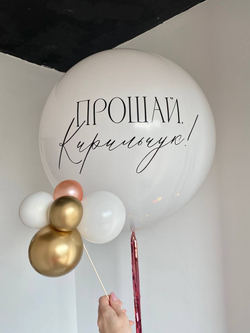 Воздушные шары на девичник №1040