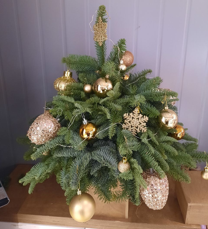 Композиция "Золотая ель" Композиция "Золотая ель"