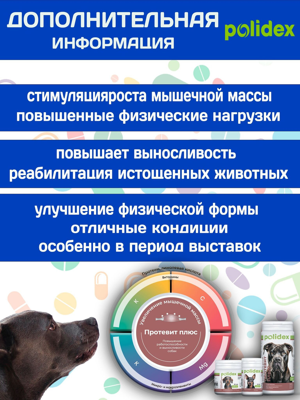 Polidex Protevit Plus для собак, Кормовая добавка для увеличения мышечной массы, Полидек Протевит Плюс, 150 таб