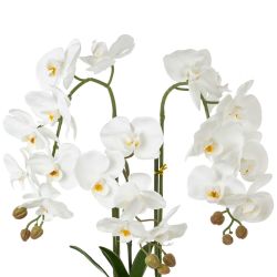 GAEM Цветочная композиция, L W H50 см