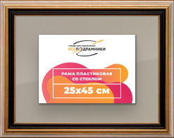 Рамка 25x45 для постера и фотографий