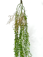 Эвкалипт ампельный 130 см