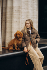 Перестежка поводок для собак 20 мм , 5 м коричневый и леопард