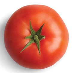 Тореро F1 семена томата индетерминантного (De Ruiter Seeds / Де Ройтер Сидс)