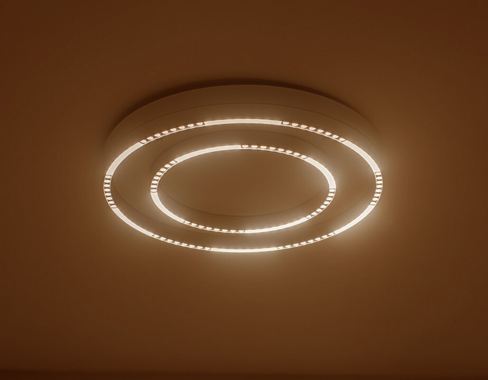 Накладной светильник Ambrella Light FL FL5821