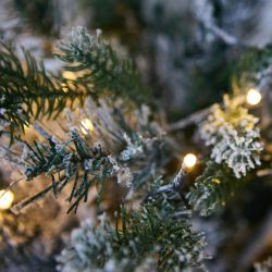 ULD-T5460-030-SNA-3AA WARM WHITE IP20 XMAS TREE SNOW Дерево светодиодное Ёлочка снежная. на батарейках 3АА не в-к. 54х60см. 30 светодиодов. Теплый белый свет. TM Uniel