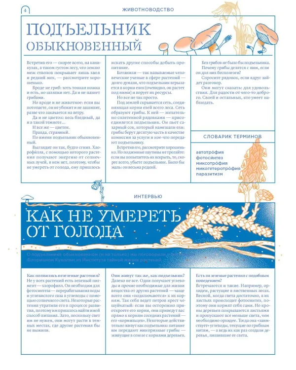 Мико. Полный путеводитель по миру грибов